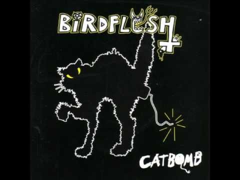 Birdflesh - No Fucking Heaven