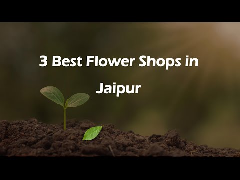 3 Best Flower Shops in Jaipur, Rajasthan 2025 | Florists