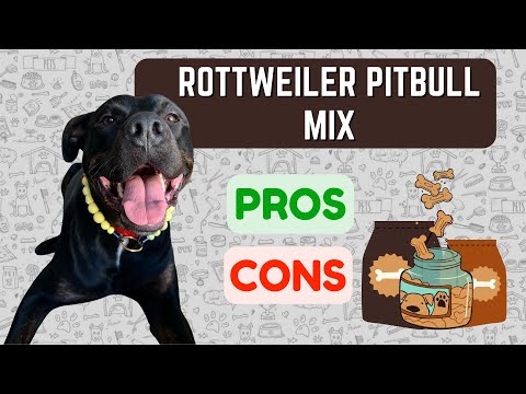 Brindle Rottweiler Pitbull Mix