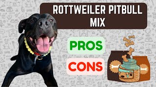 Rottweiler Pitbull Mix: PRO'S & CON'S!!! 🐶🦴🐾
