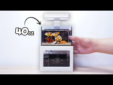 A Nano Reef Tank You Can Put Anywhere!