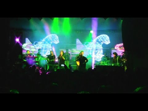 Momotombo - Rockzilla Live - La Marimba Cósmica (HD)