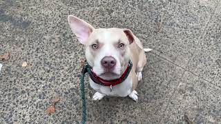 Park Day with Neno! 235806