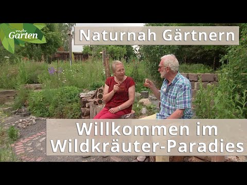 Begeisterung für heimische Wildkräuter: Naturnaher Traumgarten bei Hannover | MDR