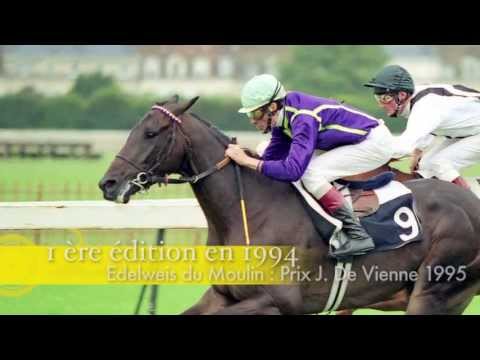 Concours AQPS de Decize : les 20 ans le 30 août 2013.