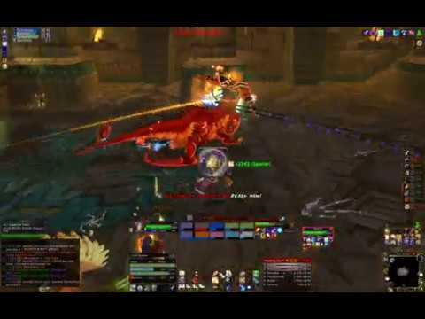 Hunter Tank in Zul'aman -Hex Lord Malacrass-  Test 1