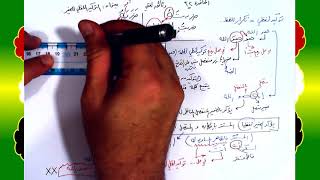 صورة 32 √ التوكيد اللفظي للضمير