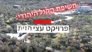 חשיפה: הג'יאהד החקלאי - פרויקט עצי הזית של חמאס (חדשות הקול היהודי) - התמונה מוצגת ישירות מתוך אתר האינטרנט יוטיוב. זכויות היוצרים בתמונה שייכות ליוצרה. קישור קרדיט למקור התוכן נמצא בתוך דף הסרטון חשיפה: הג'יאהד החקלאי - פרויקט עצי הזית של חמאס (חדשות הקול היהודי) - התמונה מוצגת ישירות מתוך אתר האינטרנט יוטיוב. זכויות היוצרים בתמונה שייכות ליוצרה. קישור קרדיט למקור התוכן נמצא בתוך דף הסרטון