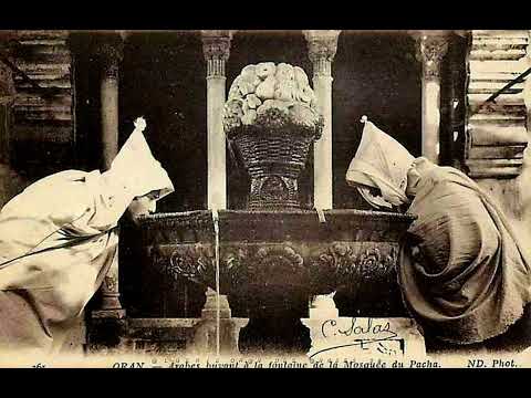 زندها يشالي وجايه خليّ خليّ أحمد وهبي