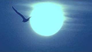 Every Time We Say Goodbye