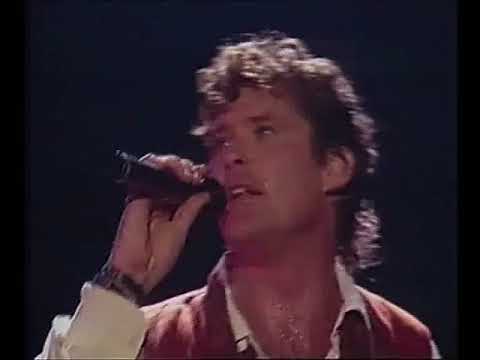 Lovin Arms - David Hasselhoff