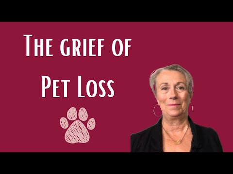 Why Pet Loss is a Heavy Grief