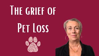 Why Pet Loss is a Heavy Grief