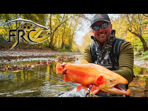 Fly Fishing Gold Rush in West Virginia