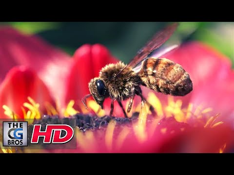 CGI 3D Animated Short: "Sensory Path" - by MJM Graphic Design Lille | TheCGBros