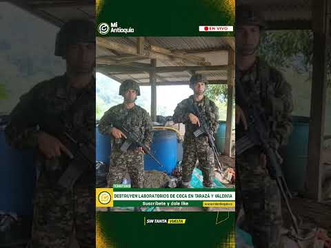 Tarazá y Valdivia: Ejército destruye infraestructura usada para producir coca | #MiAntioquiaNoticias