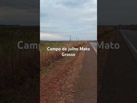 #camper #automobile #caminhoparaumavidamelhor #turismo #ㅇyㅇ #casa #viagem