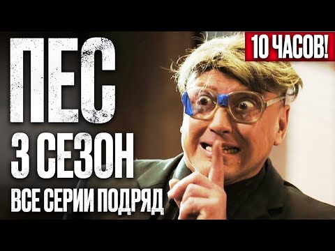 🎬 Сериал ПЕС 3 сезон – Полный 3 СЕЗОН – ВСЕ СЕРИИ ПОДРЯД (1 – 12) | ПЕС 2023 – ЧАСТЬ 1