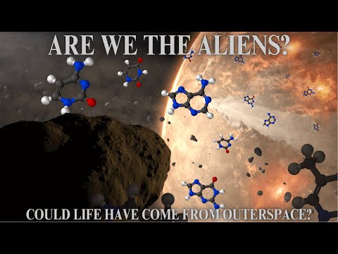 Did life come from outer space?