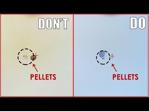 Shooting Mistake to Avoid - Do & Don't by ShotKam Camera