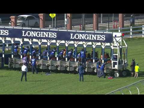 Sir Barnabus - Royal Randwick Race 4