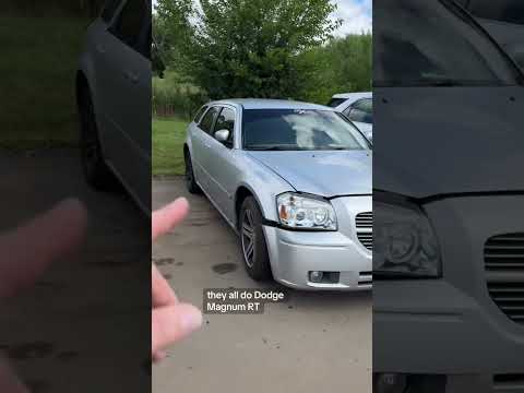 Our Daily Walkthrough of fresh new junk cars ! #dailywalkthrough #junkyard #cars #honda 8/21/25 