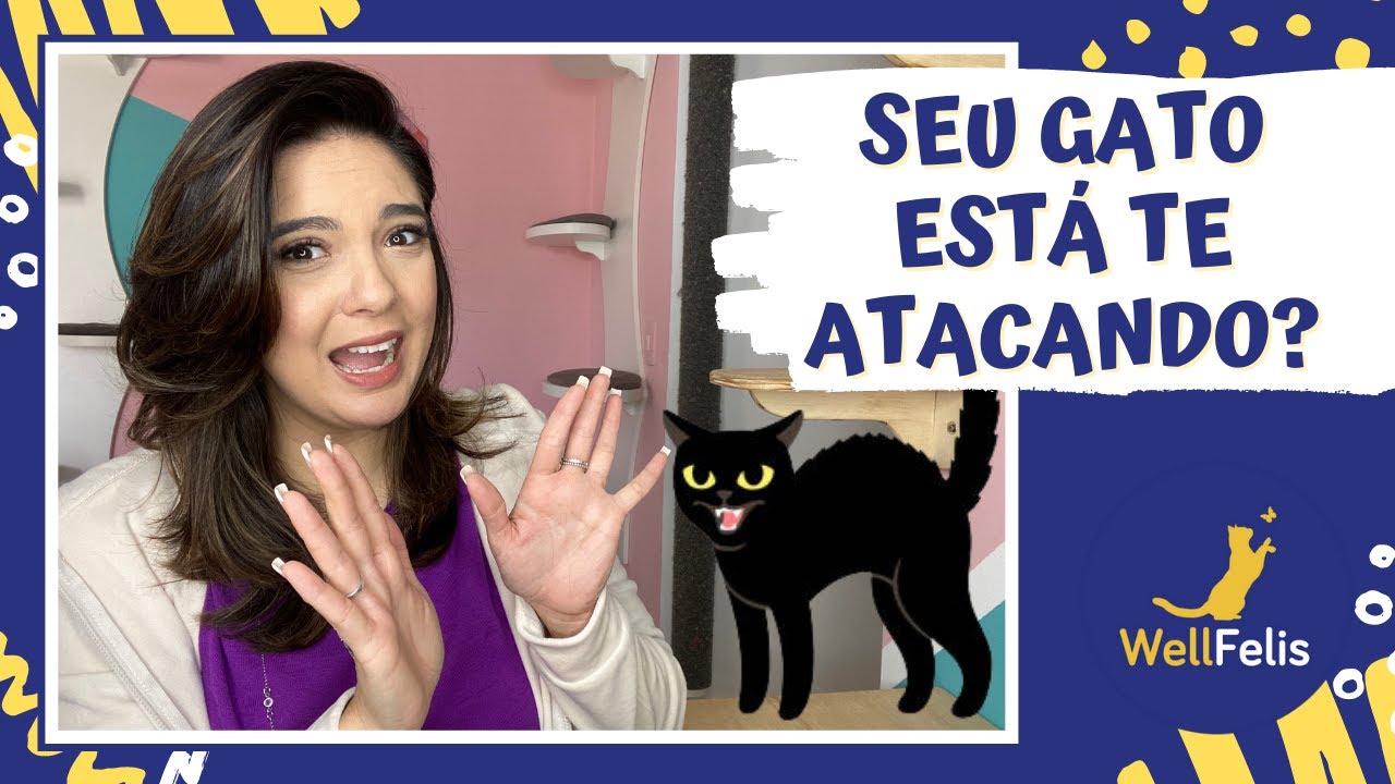 Seu gato está te atacando?