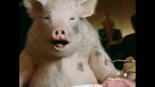 Shabazz Palaces - Ham Sandwich