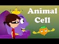Animal Cell Animation Video