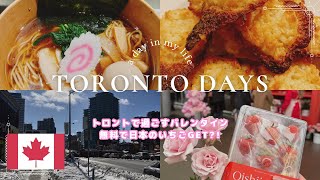 ≪Canada Vlog🇨🇦≫トロントで過ごすバレンタイン 💝| Cozy Valentine’s Day in Toronto