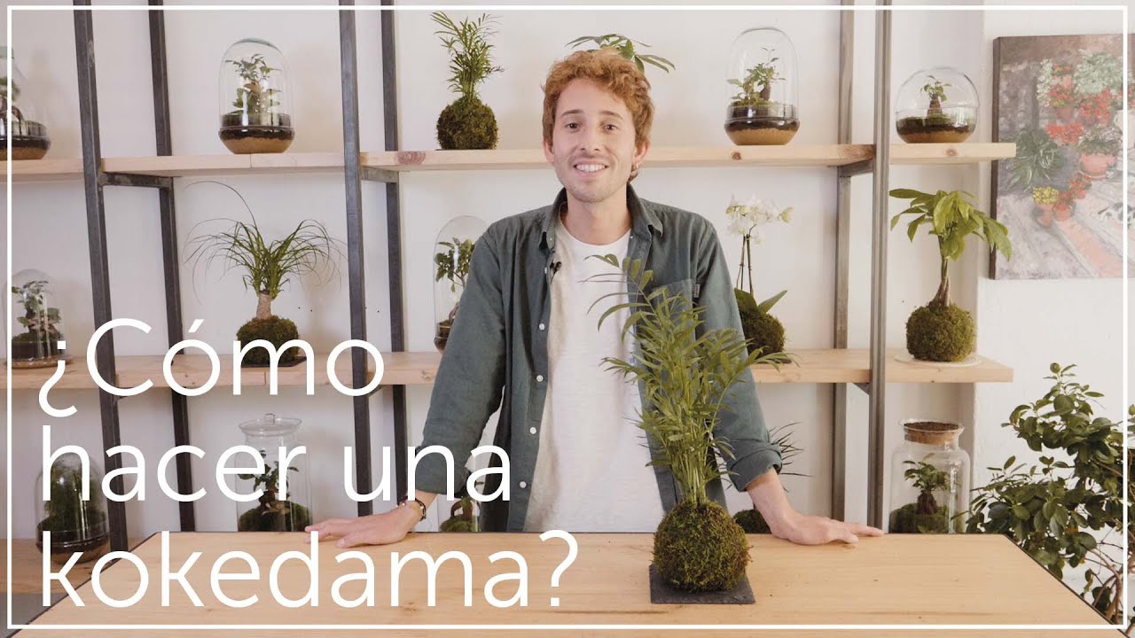Crea tu propia kokedama: una declaración de amor a las plantas