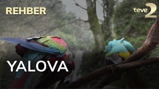 Rehber 3. Bölüm - Yalova FULL BÖLÜM İZLE!