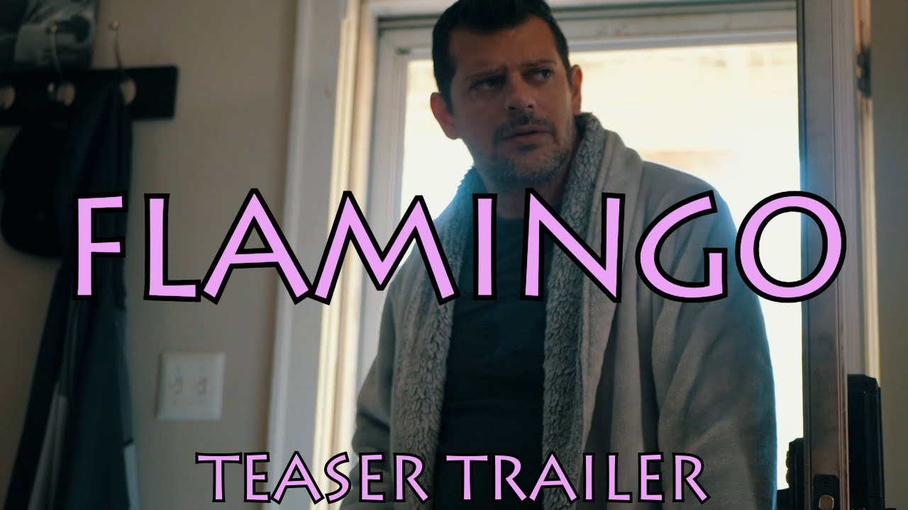 Miniature de la vidéo "FLAMINGO" (Teaser Trailer) du film Flamingo
