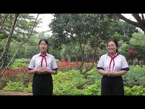 Geoparque Global Dak Nong UNESCO - Ano Letivo 2023-2024 -HOAI THUONG QUYNH NHU 8A1 NGUYEN TAT THANH