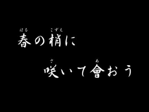 同期の桜　歌詞と原曲の解説