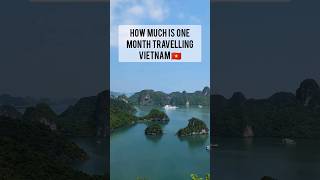 Surprising Cost To Travel Vietnam For One Month 🇻🇳💲(Couple On A Budget) #shorts #travel #vietnam