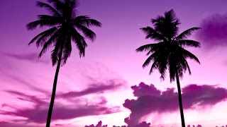 Sleeping Music, Calming Music, Music for Stress Relief, Relaxation Music, 8 Hour Sleep Music, ☯2393