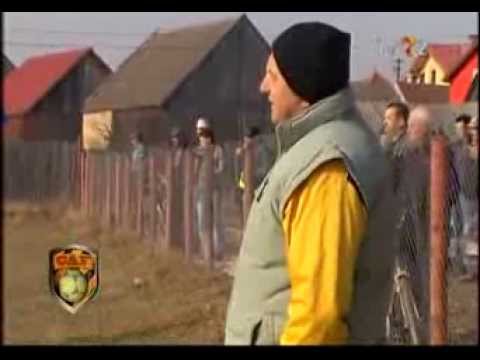 Avântul Dumbrăviţa