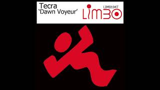 Dawn Voyeur - Tecra