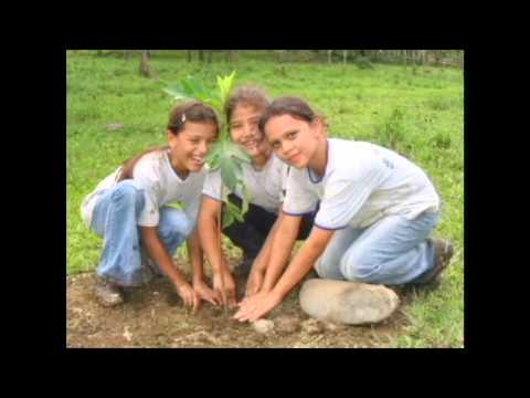 Kung paano mawalan ng timbang sa isang linggo upang Na nawala mula sa likidong chestnut