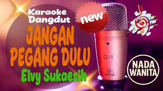 Download lagu Karaoke Jangan Pegang Dulu - Elvy Sukaesih (Cewek) | ADEEVA MUSIC STUDIO mp3 Download lagu Karaoke Jangan Pegang Dulu - Elvy Sukaesih (Cewek) | ADEEVA MUSIC STUDIO mp3