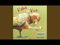 Kaha the Kea