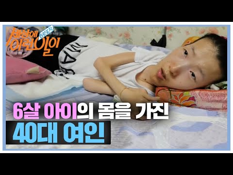 아이콘