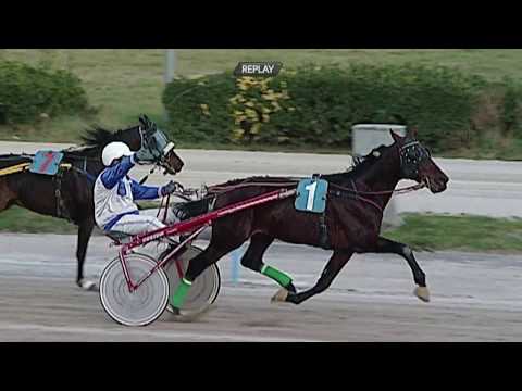 Aversa trotto 5 Febbraio 2020 - 4° Corsa