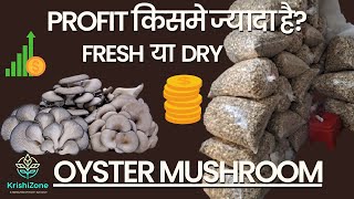 Profit किसमे ज्यादा है? Fresh या Dry Oyster Mushroom में ?