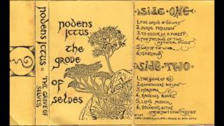 Nodens Ictus -  The Grove Of Selves (K7 - 1987)