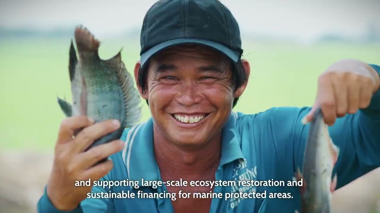 UNDP in Viet Nam: Highlights from 2025