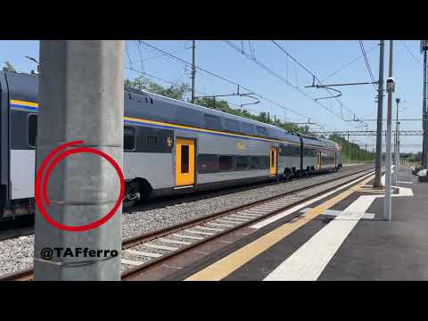 Treni in Arrivo, Partenza e Transito alla stazione di Torricola [4K]