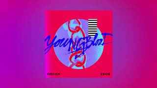 5 Seconds Of Summer - Youngblood (R3HAB Remix)