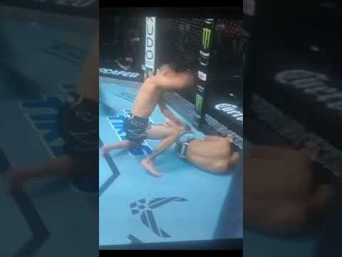 Alessandro Costa Aims for UFC Flyweight Ranking Breakthrough